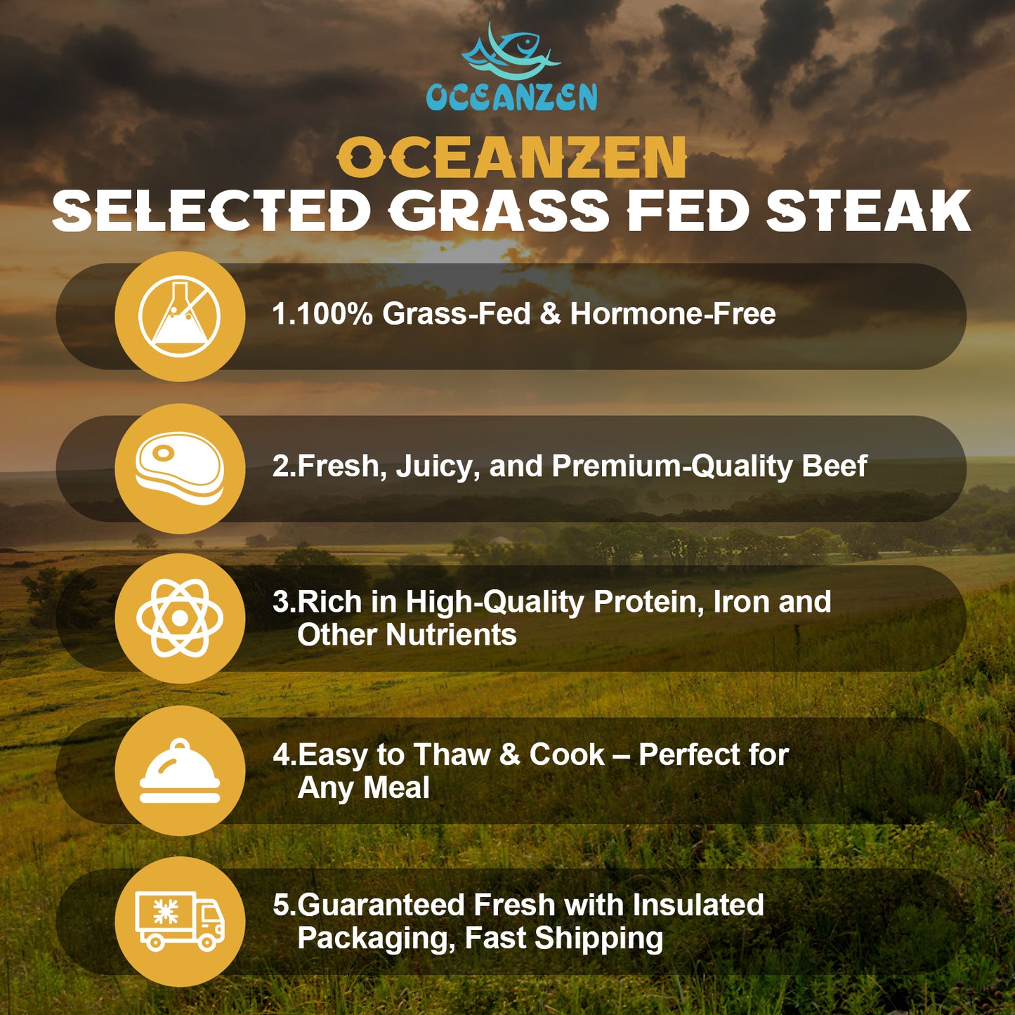 USDA Prime New York Strip Steak