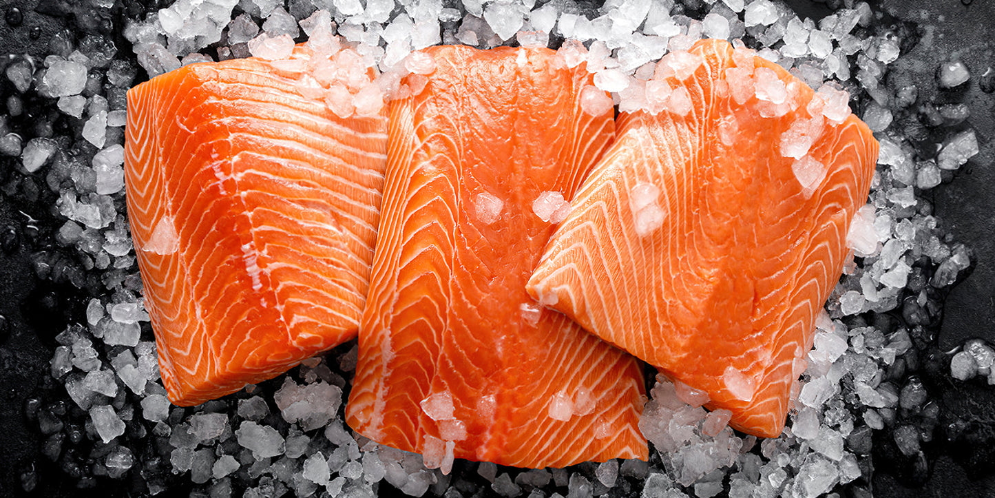 Atlantic Salmon - OceanZen