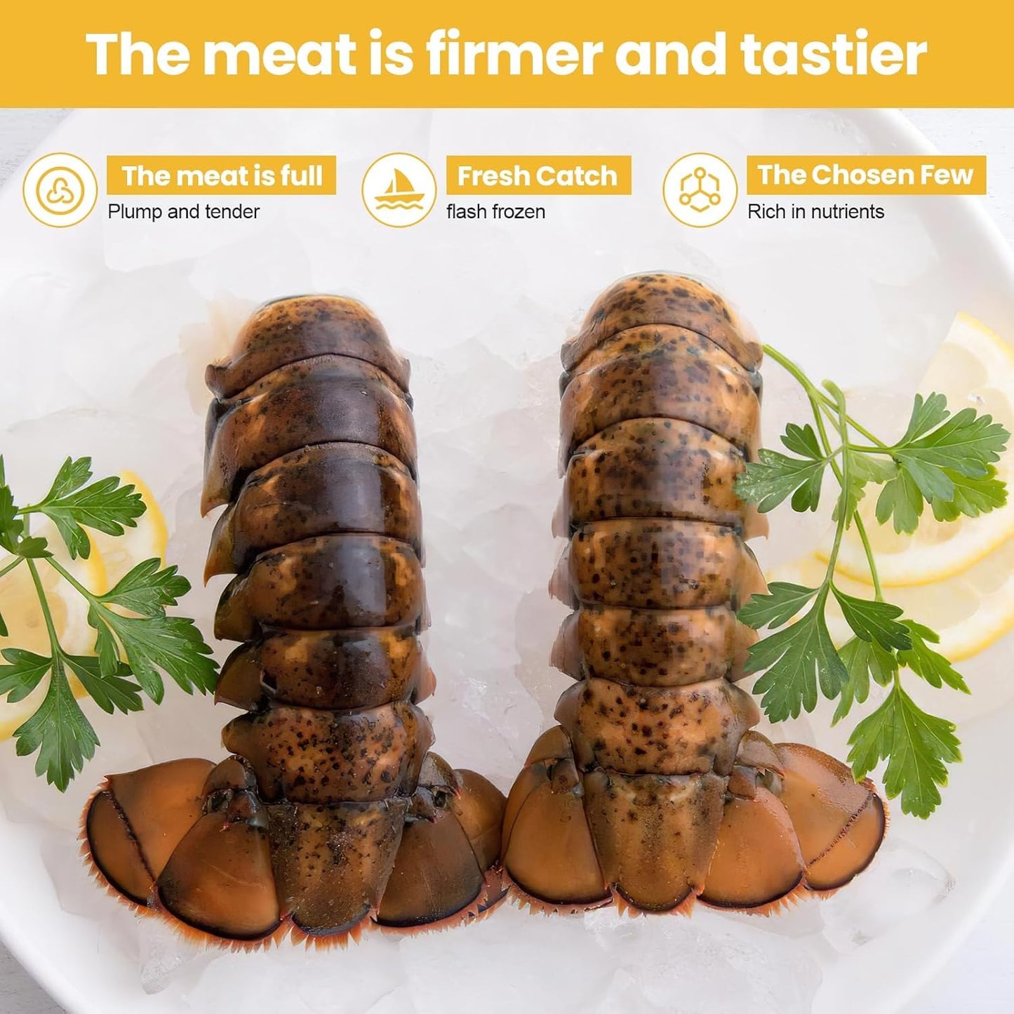 Lobster Tail Beef Gift Box
