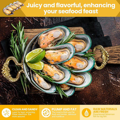 Large Size New Zealand Half Shell Mussels