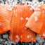 Atlantic Salmon - OceanZen