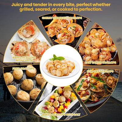 Dry Sea Scallops