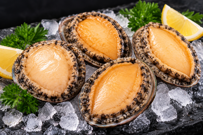 Premium Frozen Cooked Abalone in Shell  (8oz Each Pack)