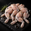 Premium Frozen Frog Legs